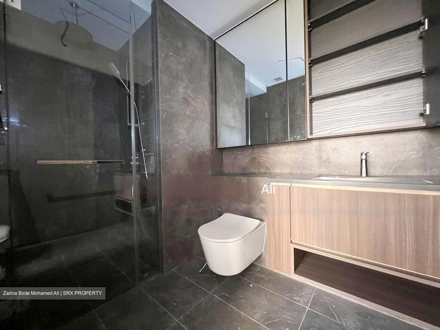 Kopar At Newton (D9), Apartment #423815061